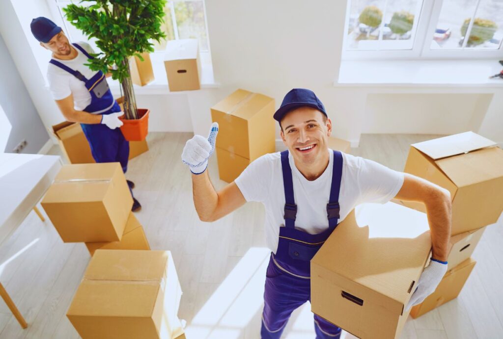 Best Movers and Packers